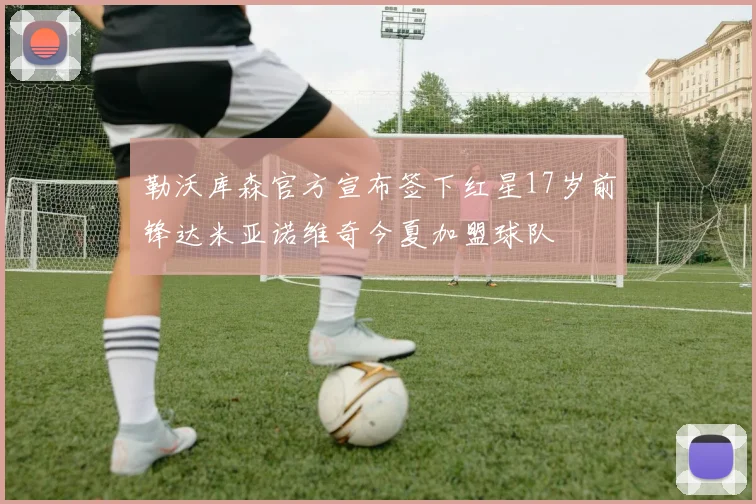 勒沃库森官方宣布签下红星17岁前锋达米亚诺维奇今夏加盟球队