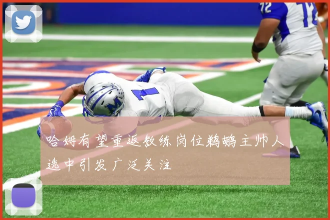 哈姆有望重返教练岗位鹈鹕主帅人选中引发广泛关注