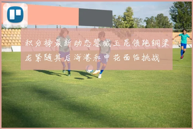 积分榜最新动态蓉城玉昆领跑铜梁龙紧随其后海港和申花面临挑战