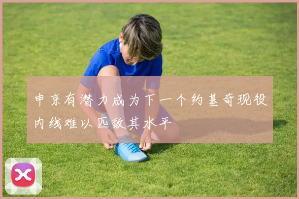 申京有潜力成为下一个约基奇现役内线难以匹敌其水平