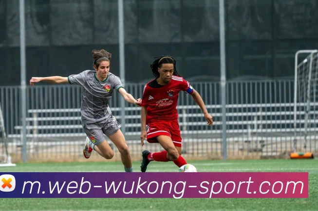 悟空体育发展历程